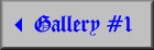Gallery #1