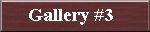 Gallery #3