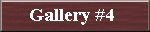 Gallery #4
